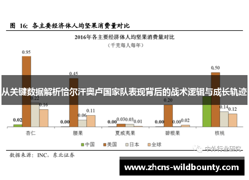 从关键数据解析恰尔汗奥卢国家队表现背后的战术逻辑与成长轨迹