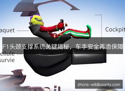 F1头颈支撑系统关键揭秘，车手安全再添保障